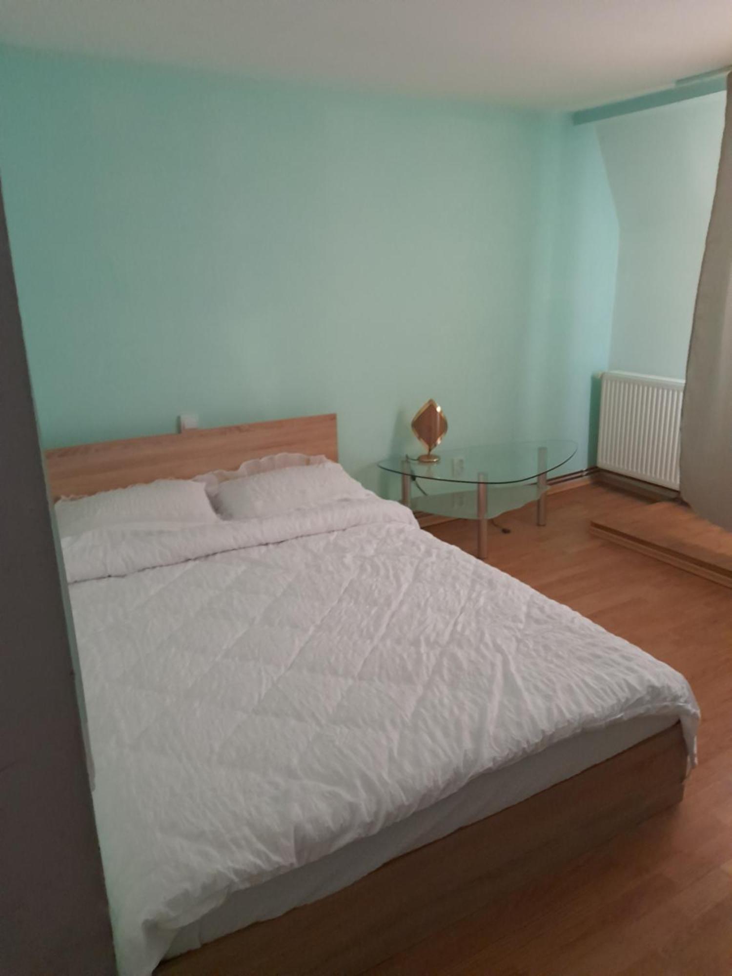 Garsoniera Sic Zona Terapia Zona Linistita La Casa Cu Parcare Leilighet Cluj-Napoca Eksteriør bilde